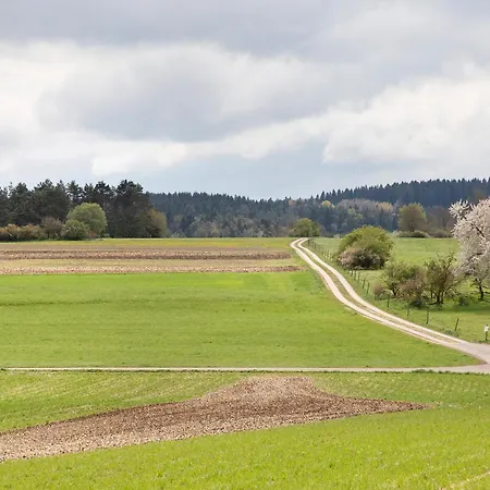 Huessli Numero 1 Hayingen