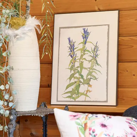 Huessli Numero 1 * Hayingen